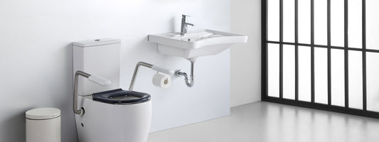 Toilet washbasin set for disabled elderly people from ringfi bathroom