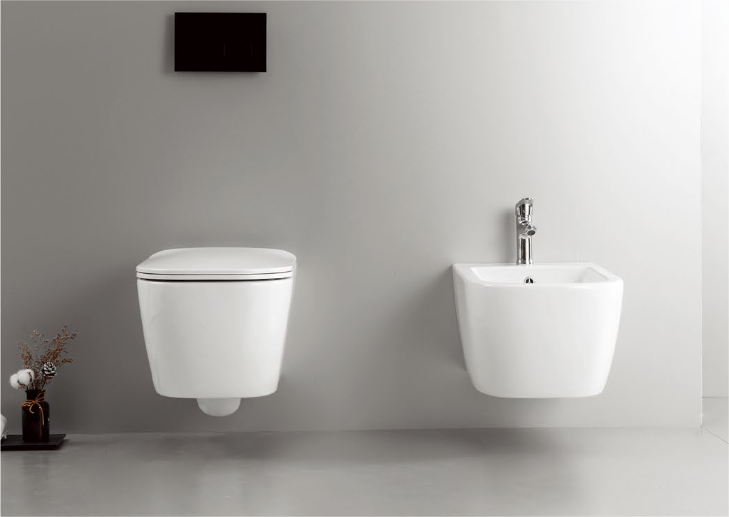 11002 Patented product wall hung toilet rimless, flush