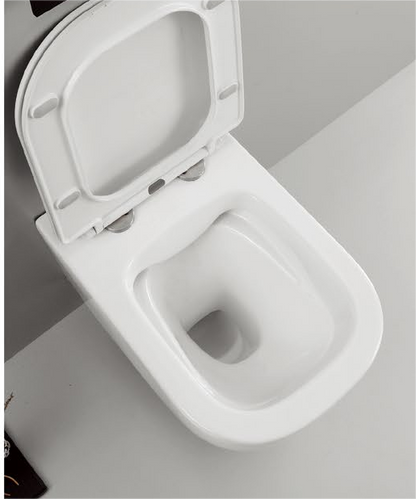 11002 Patented product wall hung toilet rimless, flush