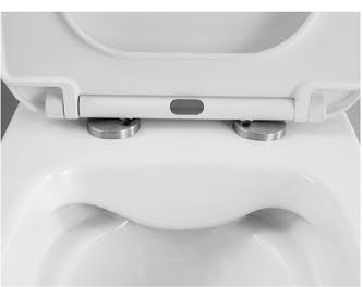 11002 Patented product wall hung toilet rimless, flush