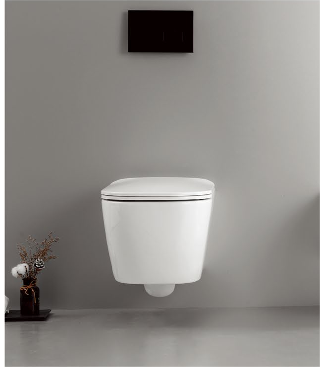 11002 Patented product wall hung toilet rimless, flush