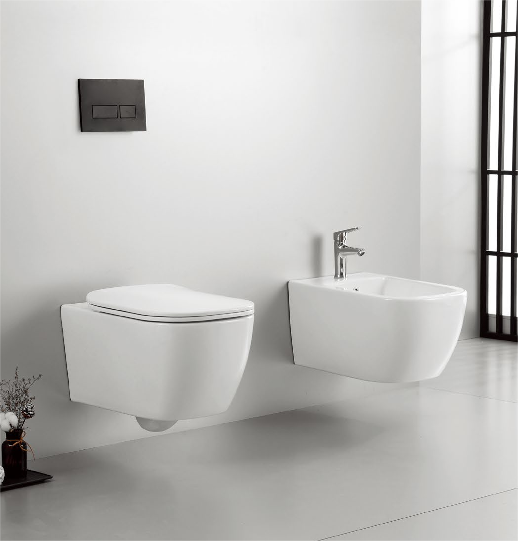 11002 Patented product wall hung toilet rimless, flush