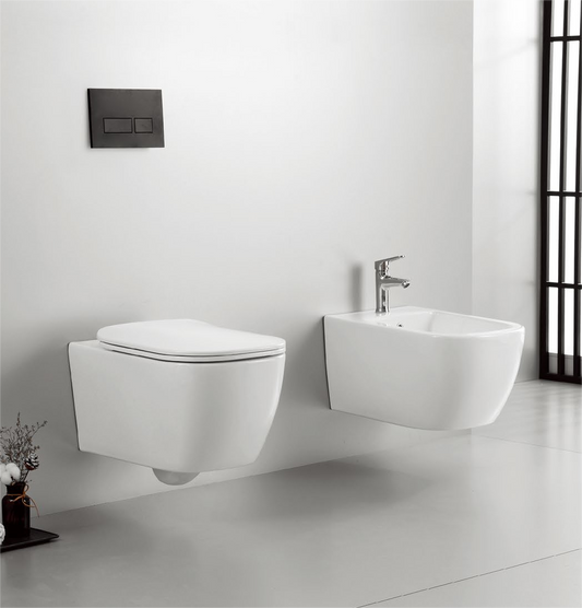 Qucik set Patented product wall hang toilet&bidet rimless, flush