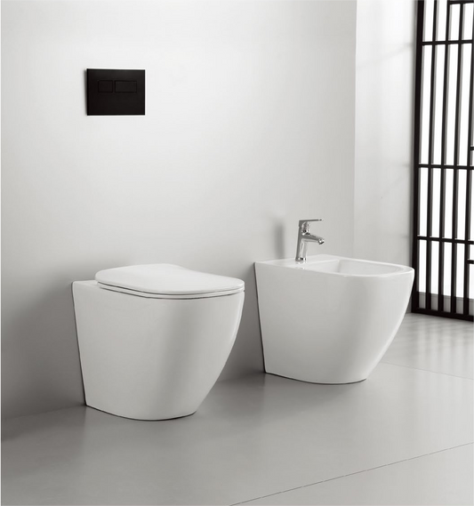 Quick set Patented product toilet&bidet back to wall, rimless, flush
