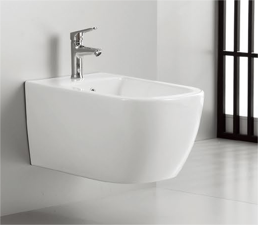 11004 Patented product wall hang bidet rimless, flush