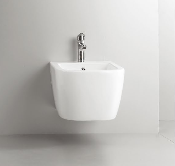 11004 Patented product wall hang bidet rimless, flush