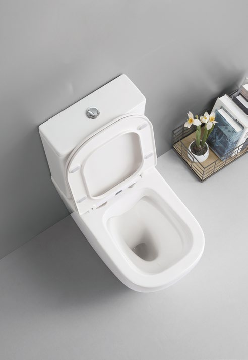 11005/11006 Patented product split toilet rimless, p/s-trap