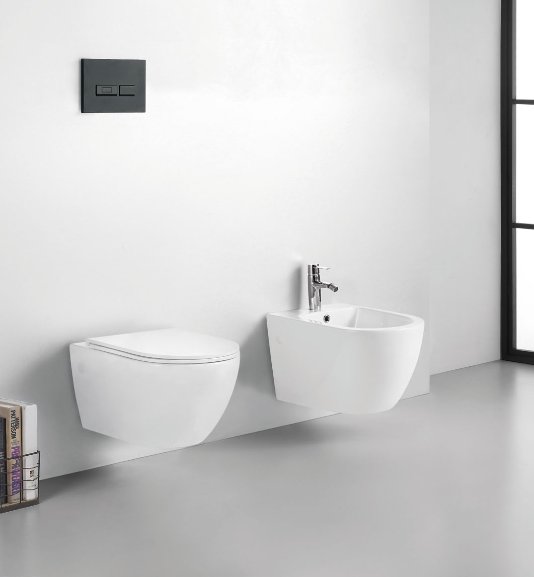 24004 Patented product wall hang bidet rimless, flush