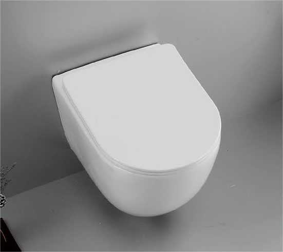 20002 Patented product wall hang toilet rimless, flush