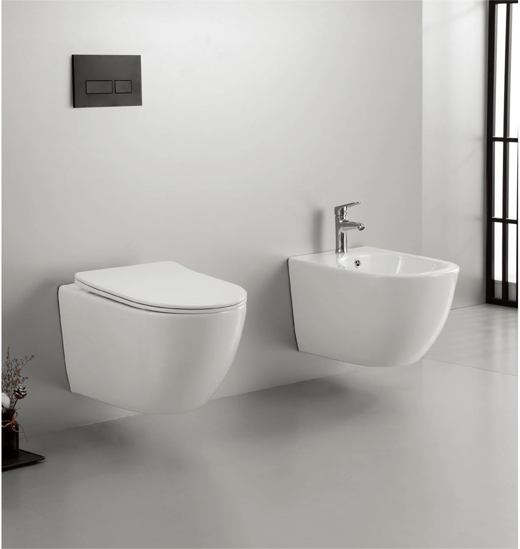 20002 Patented product wall hang toilet rimless, flush