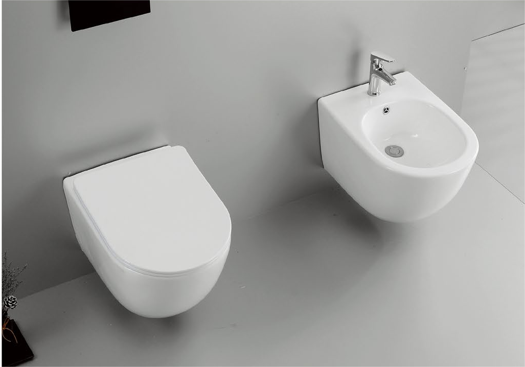 20002 Patented product wall hang toilet rimless, flush