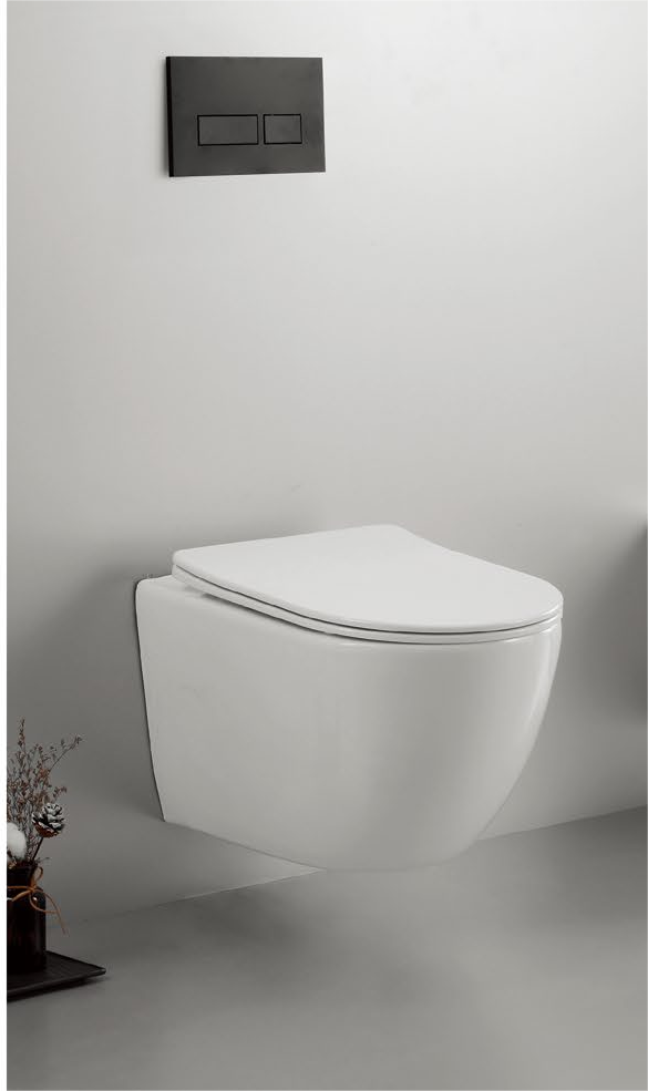 20002 Patented product wall hang toilet rimless, flush