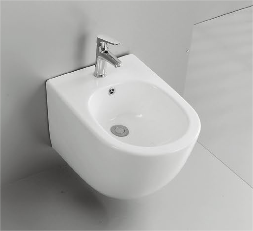 20004 Patented product wall hang bidet rimless, p-trap