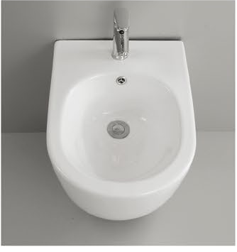 20004 Patented product wall hang bidet rimless, p-trap