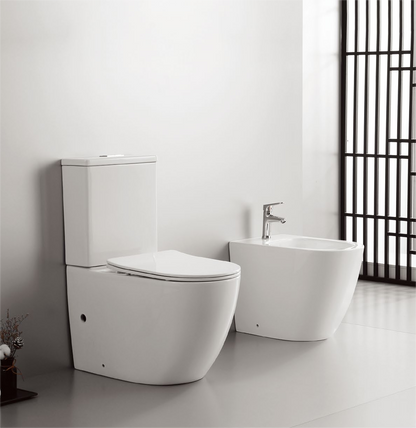 20005/20006 Patented product split toilet rimless, p/s-trap