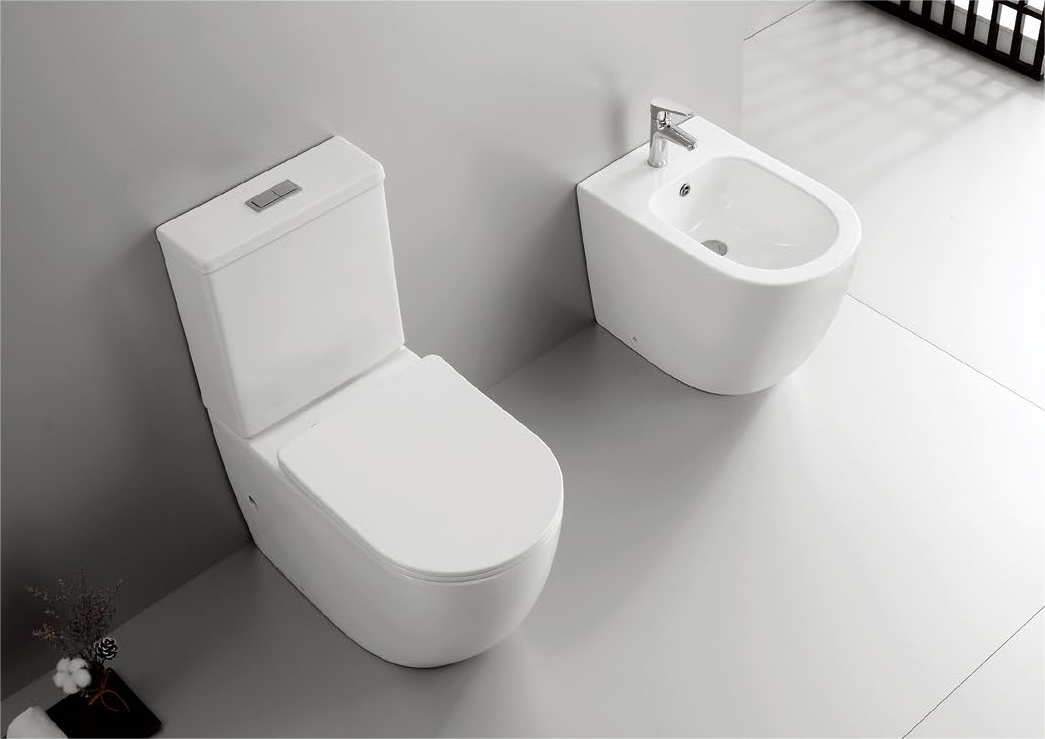 20005/20006 Patented product split toilet rimless, p/s-trap