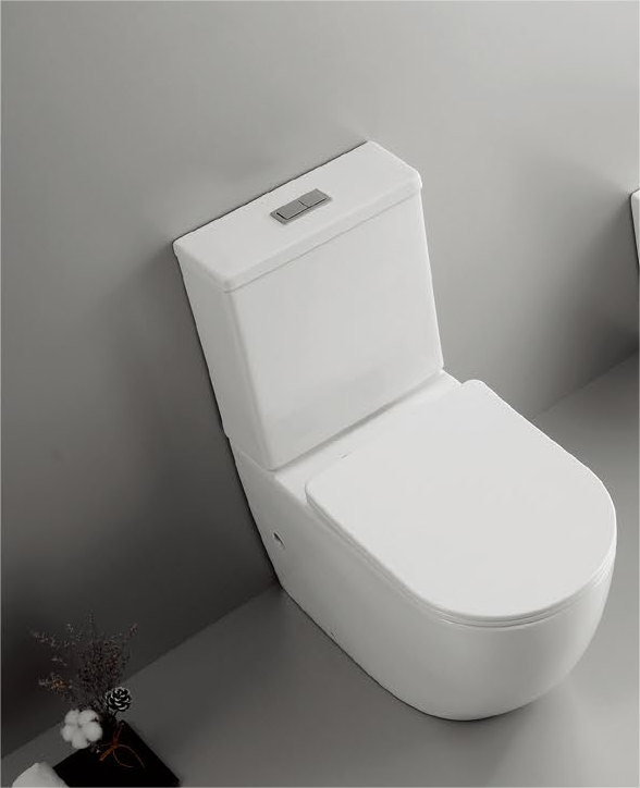 20005/20006 Patented product split toilet rimless, p/s-trap