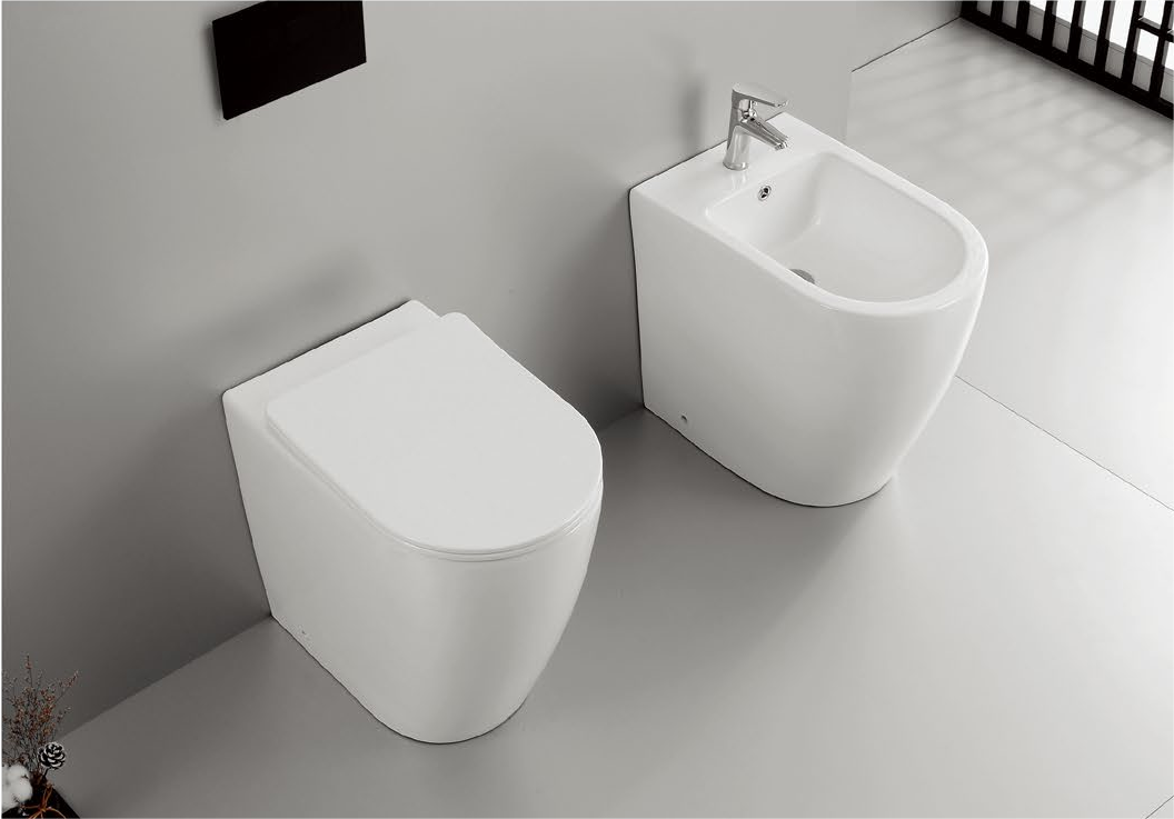 20008 Product size suitable for all disabled people, compatible with all market standards, 500mm high special care floor-standing toilet for disabled people