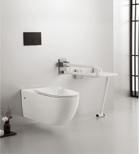 20011 Long Aidy Product size suitable for all disabled people special care wall hung toilet