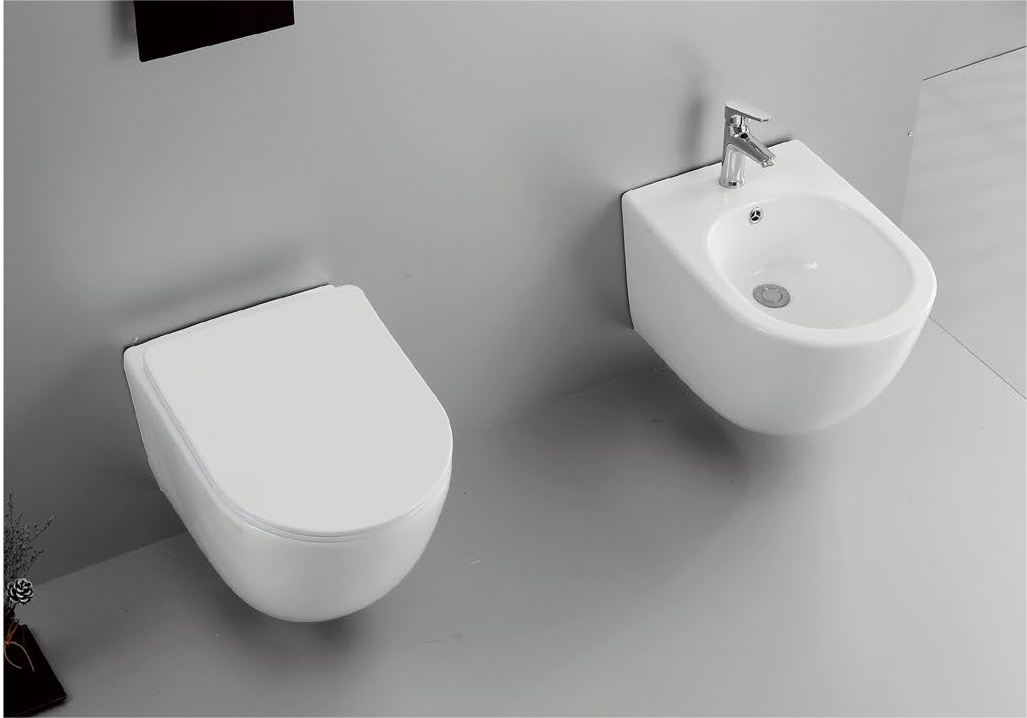 22002 Patented product wall hang toilet rimless, flush
