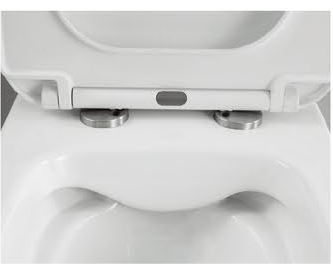 23002 Patented product wall hang toilet rimless, flush