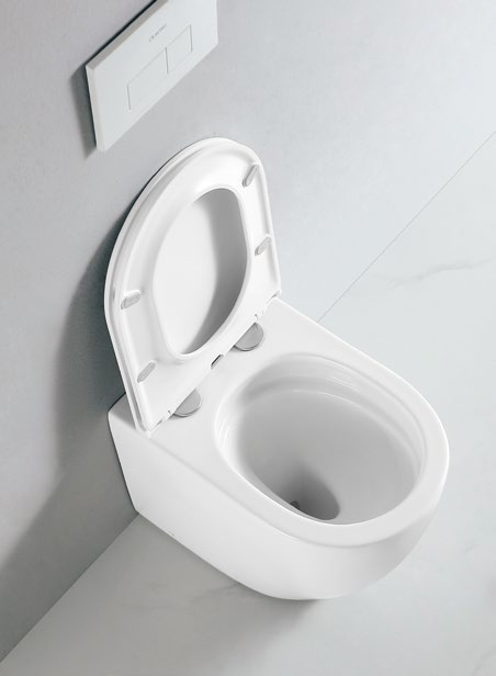 25001 Seamless installation, easy cleaning and silent design patented product bidet back to wall rimless, p/s-trap