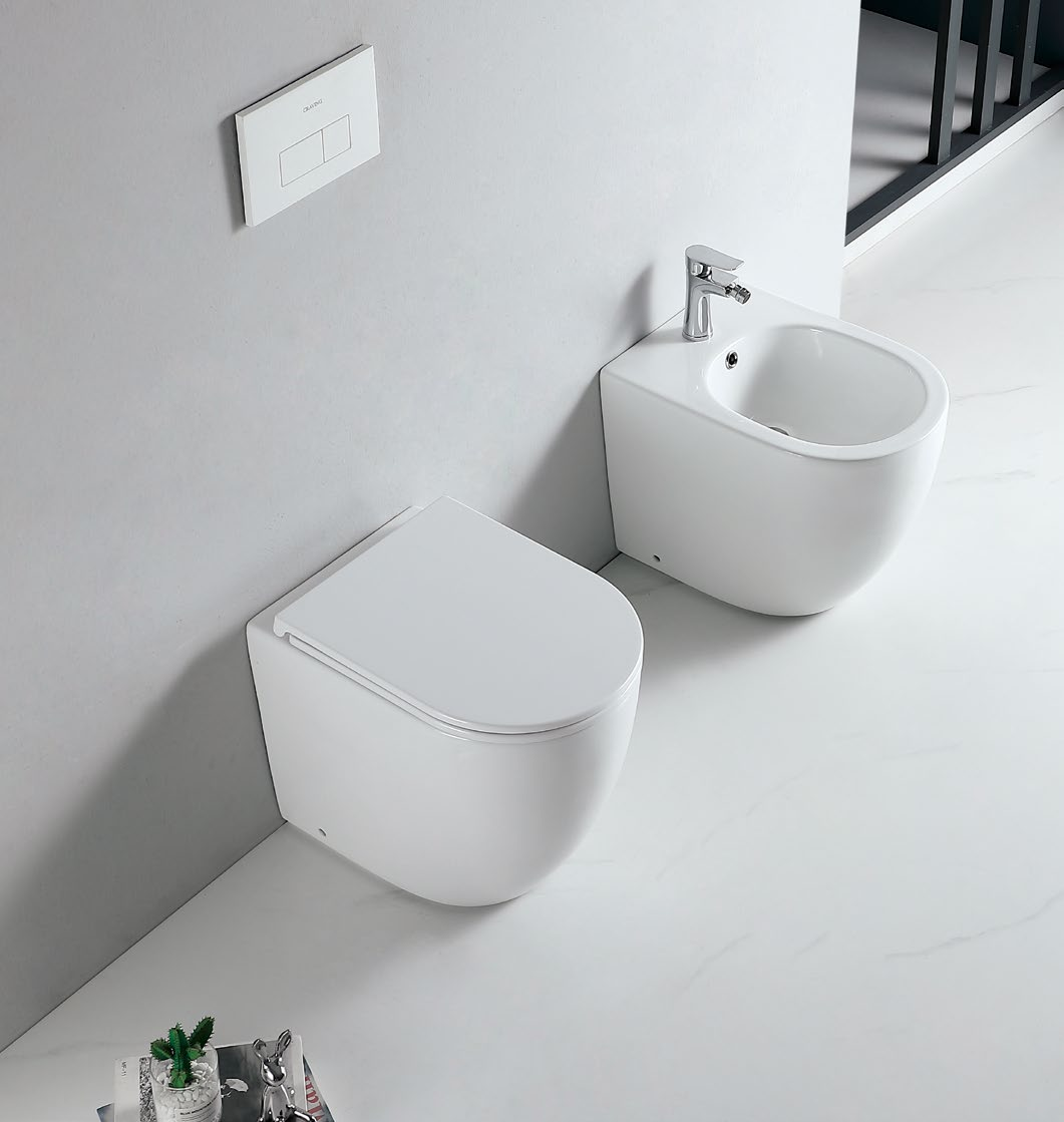 25001 Seamless installation, easy cleaning and silent design patented product bidet back to wall rimless, p/s-trap