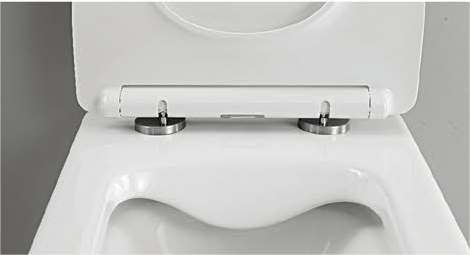 40002 Patented product wall hang toilet rimless, flush