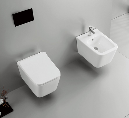 40002 Patented product wall hang toilet rimless, flush