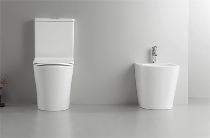 51005/51006 Patented product split toilet rimless, p/s-trap