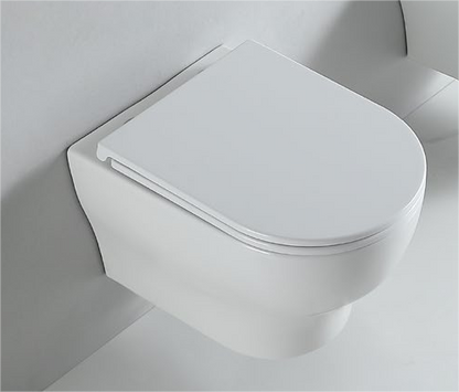 62002 Patented product wall hang toilet rimless, flush