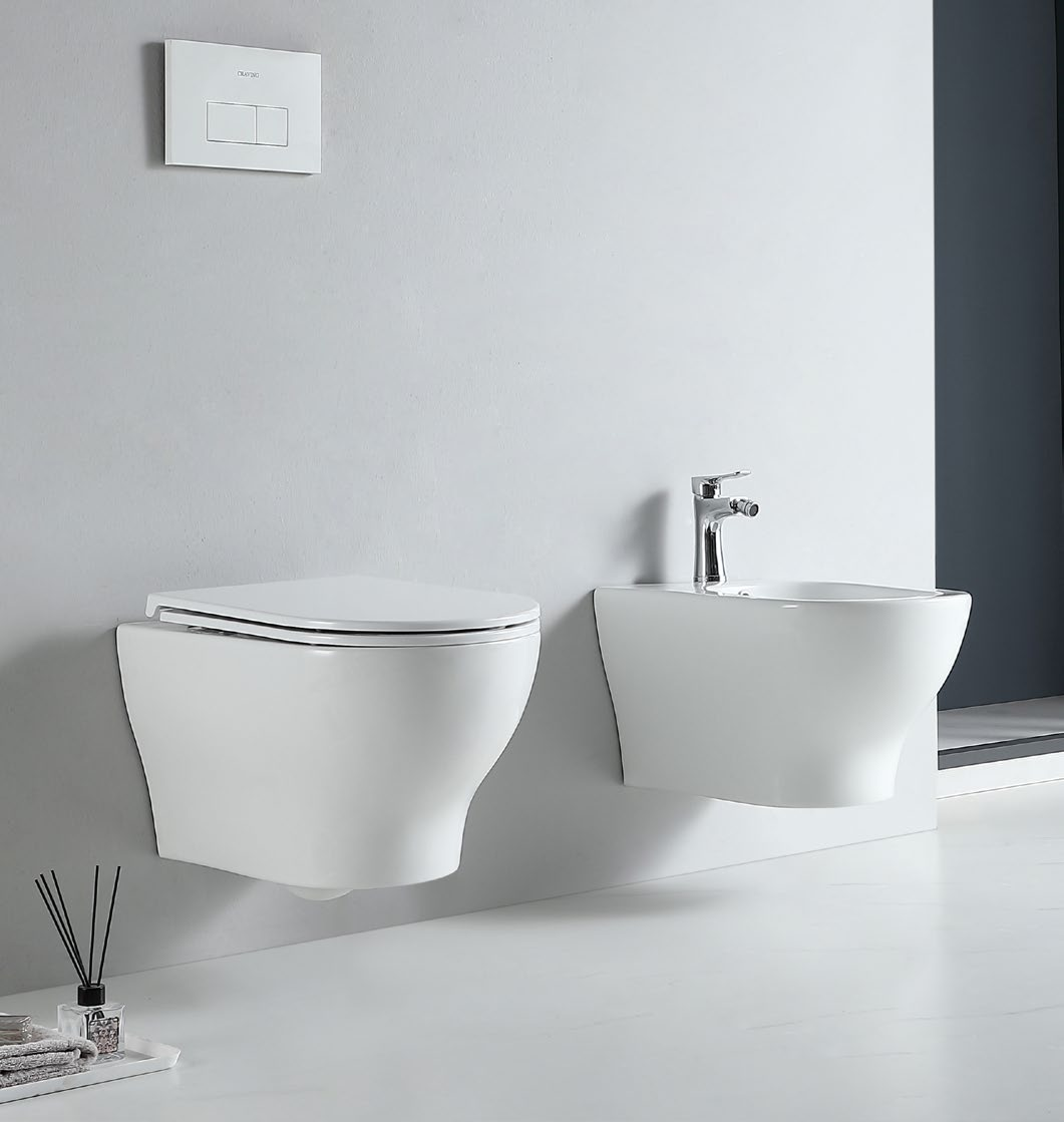 62002 Patented product wall hang toilet rimless, flush