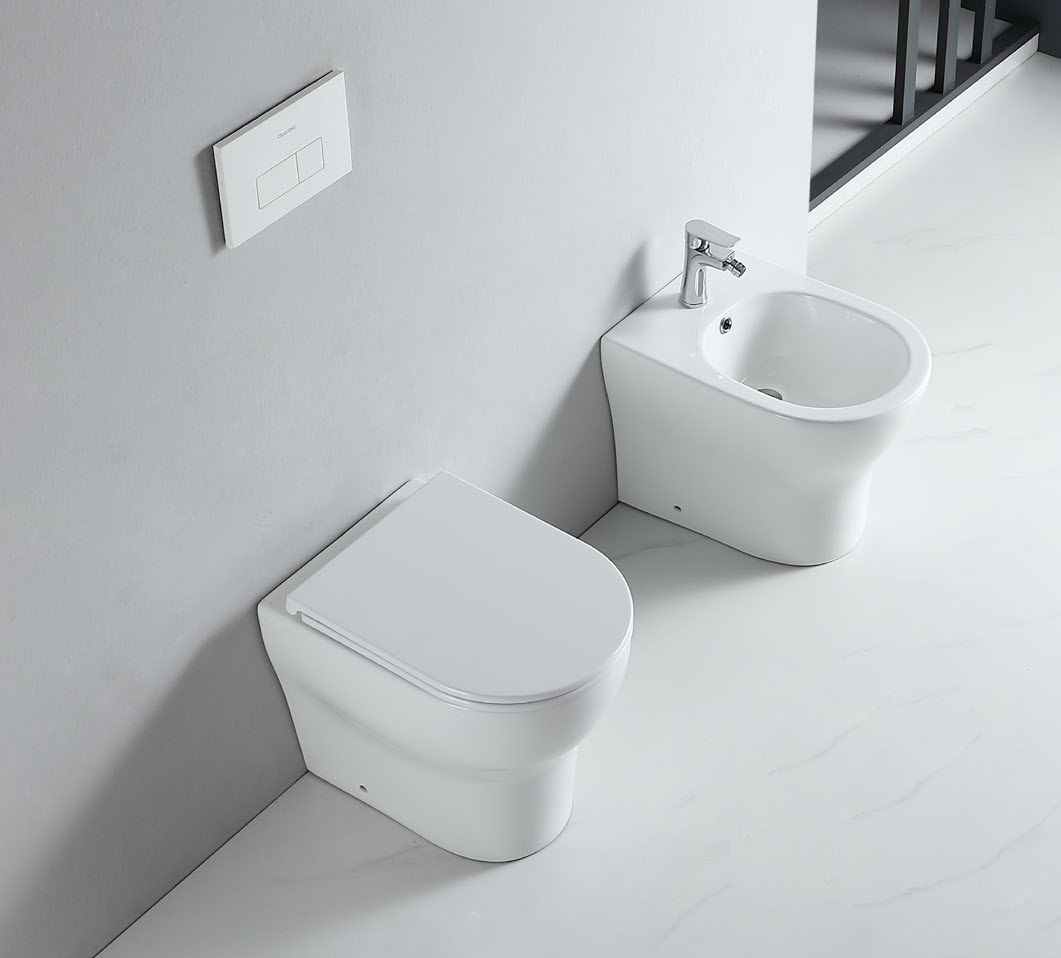 62003 Patented product bidet back to wall rimless, p/s-trap