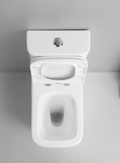 80005/80006 Patented product split toilet rimless, p/s-trap