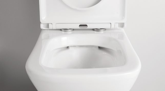 80005/80006 Patented product split toilet rimless, p/s-trap