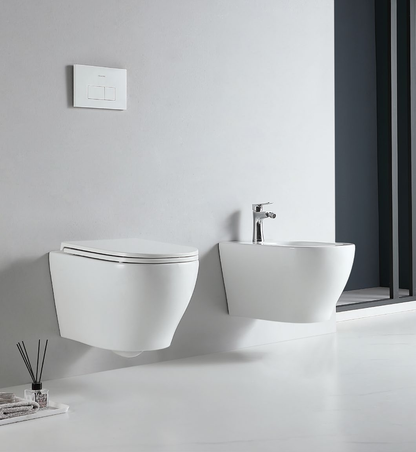90002 Patented product wall hang toilet rimless, flush