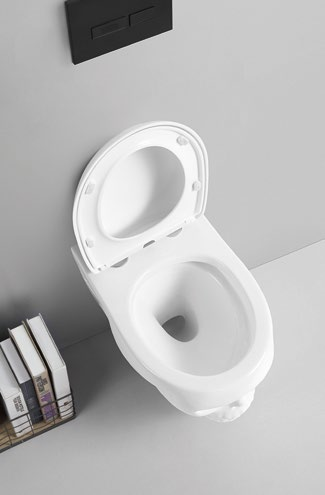 MR OPEN MOUTH Strong cultural style combined with easy development wall hung toilet