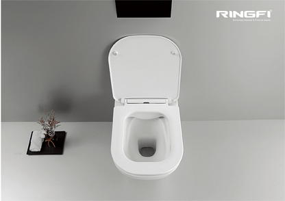 11001 Patented product toilet back to wall rimless, p/s-trap