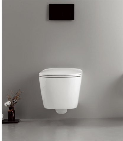 11002 منتج حاصل على براءة اختراع لمرحاض معلق على الحائط بدون إطار
