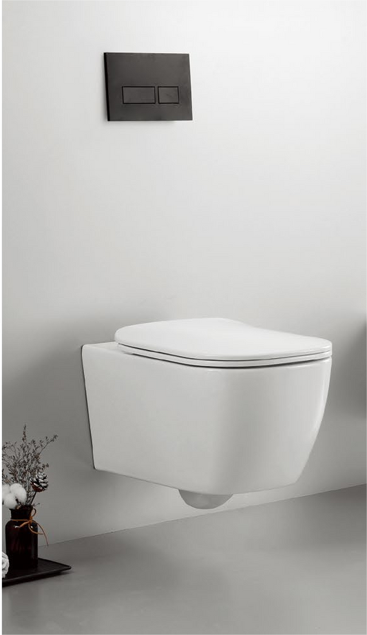 11002 منتج حاصل على براءة اختراع لمرحاض معلق على الحائط بدون إطار