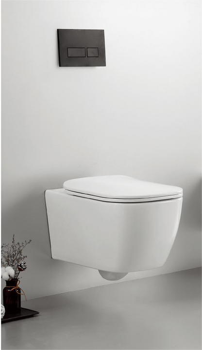 Qucik set Patented product wall hang toilet&bidet rimless, flush