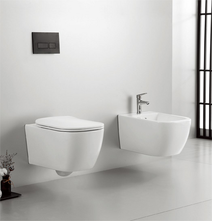 11004 Patented product wall hang bidet rimless, flush