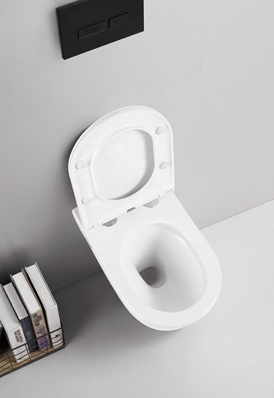 24001 Silent design Patented product bidet back to wall rimless, p/s-trap