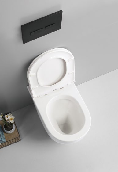 Aidy XL set The only floor-standing toilet on the market that can handle 100mm-230mm water discharge in all buildings&floor-standing bidet rimless, s/p-trap