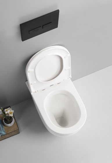 20001 Prodotto brevettato WC filo parete senza brida, sifone