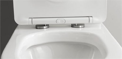 20005/20006 منتج حاصل على براءة اختراع مرحاض منفصل بدون إطار، مصيدة p/s