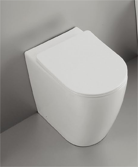 20008 Dimensioni del prodotto adatte a tutti i disabili, compatibile con tutti gli standard di mercato, WC a pavimento speciale per disabili alto 500 mm
