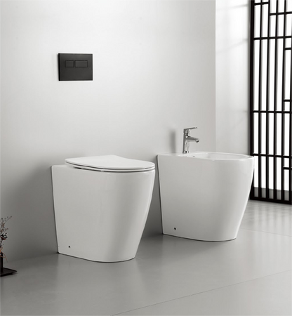 20008/20009 High Aidy Floor standing bidet combination rimless, total flush patented product suitable for all sizes of disabled people