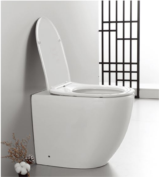 22001 Producto patentado WC Adosado a pared sin reborde, sifón p/s