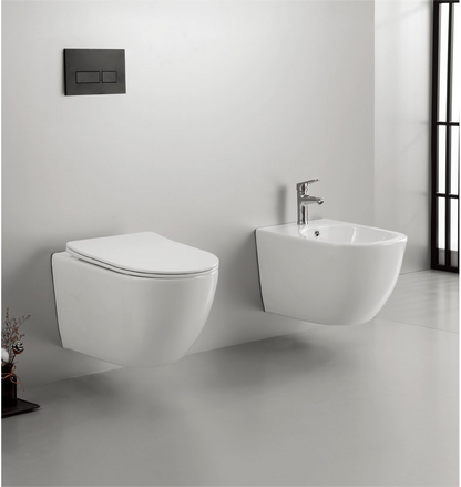 22004 Patented product wall hang bidet rimless, p-trap